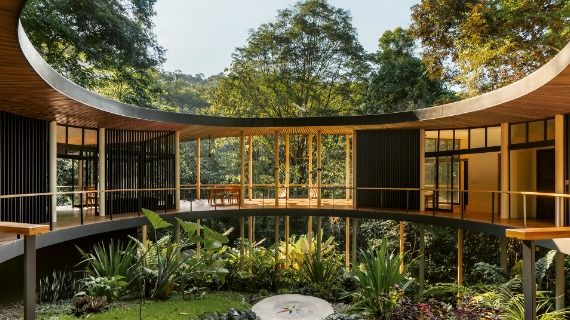 A curved home on stilts in a lush rainforest